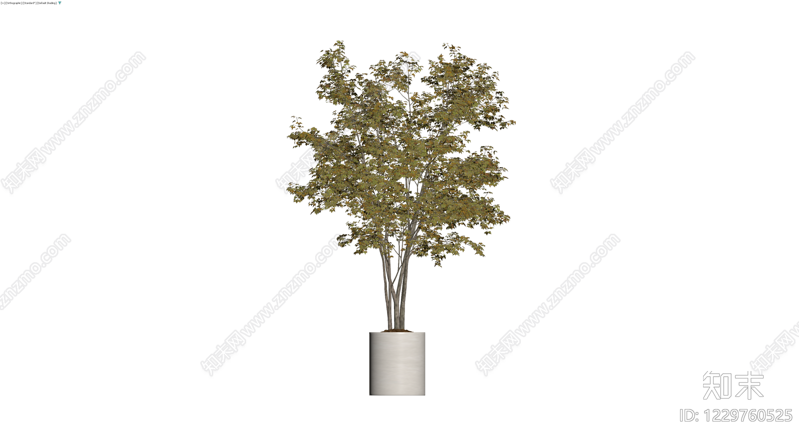 盆栽秋叶景观树3D模型下载【ID:1229760525】