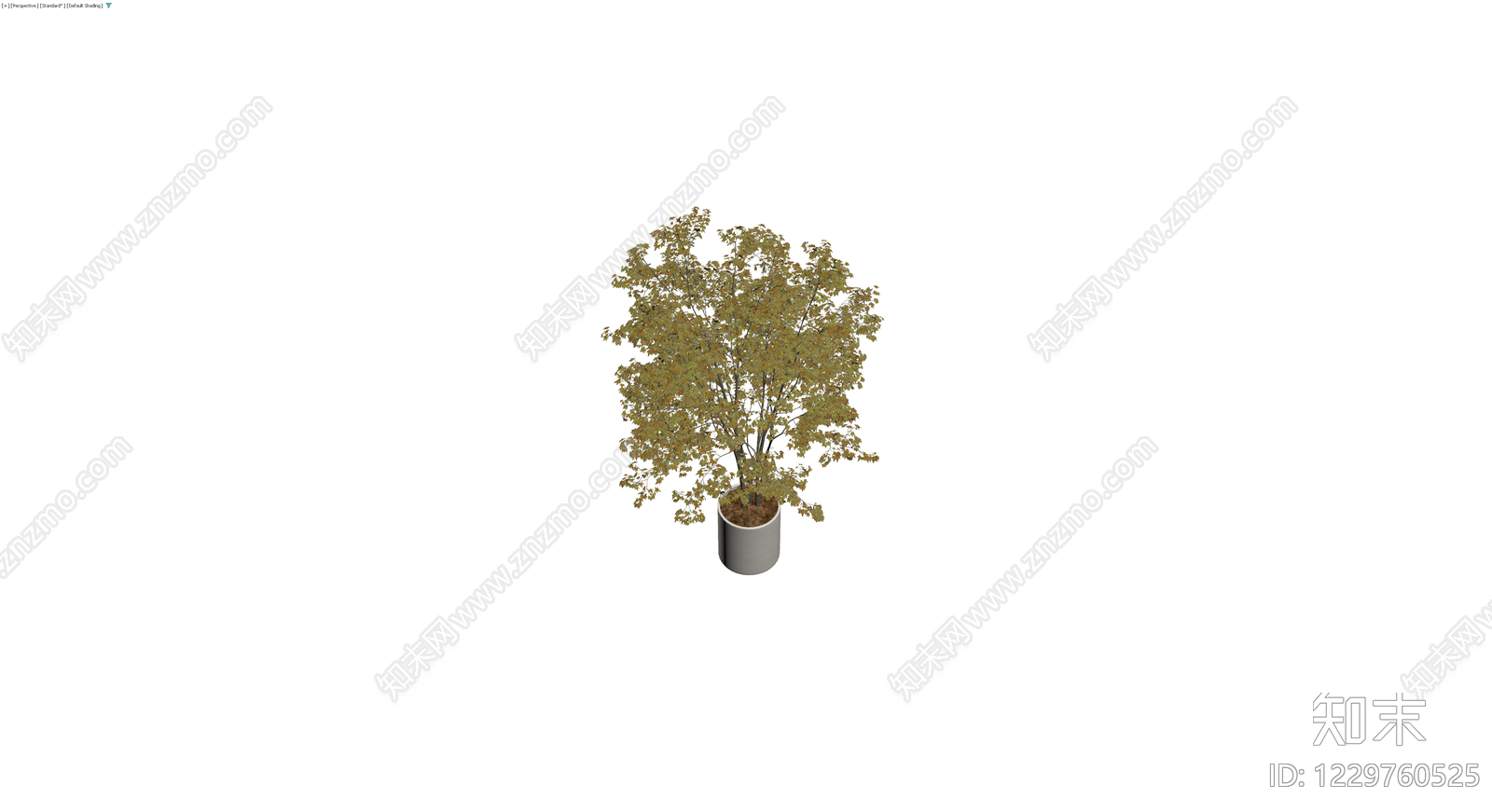 盆栽秋叶景观树3D模型下载【ID:1229760525】