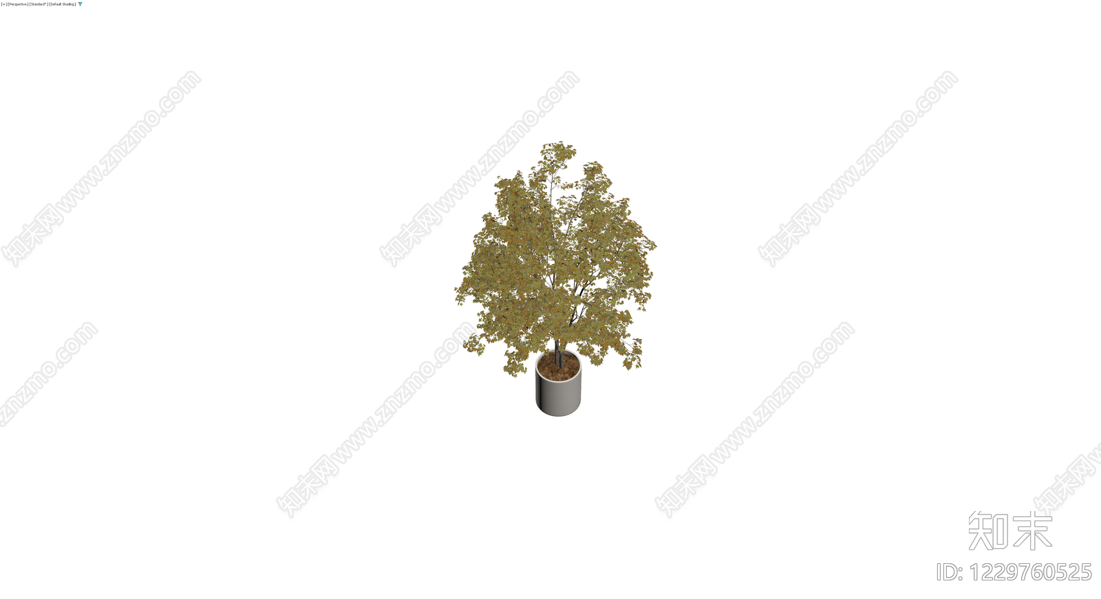 盆栽秋叶景观树3D模型下载【ID:1229760525】