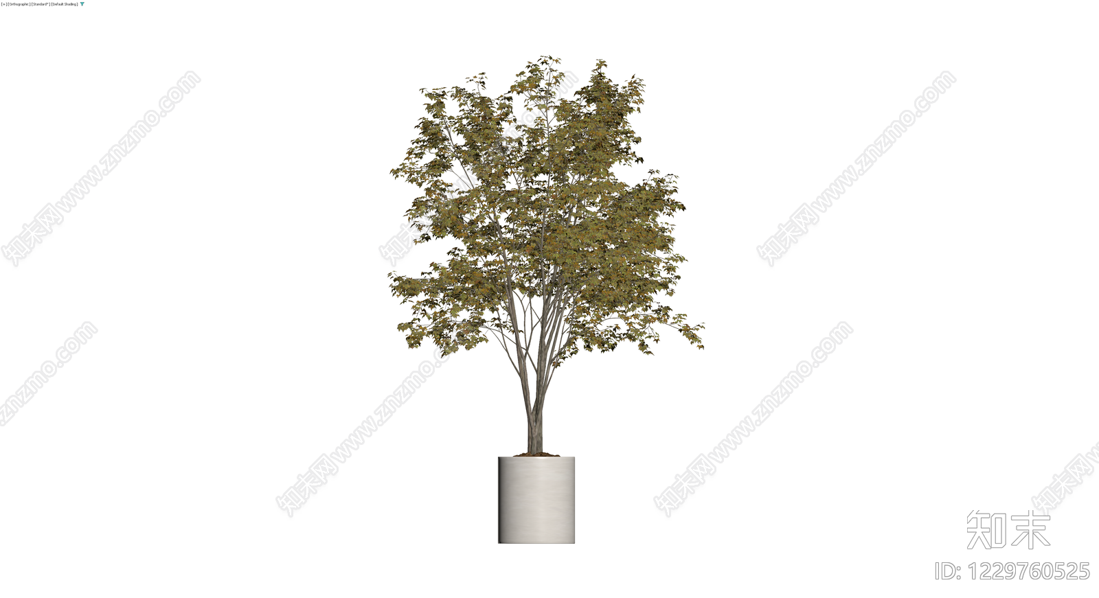 盆栽秋叶景观树3D模型下载【ID:1229760525】