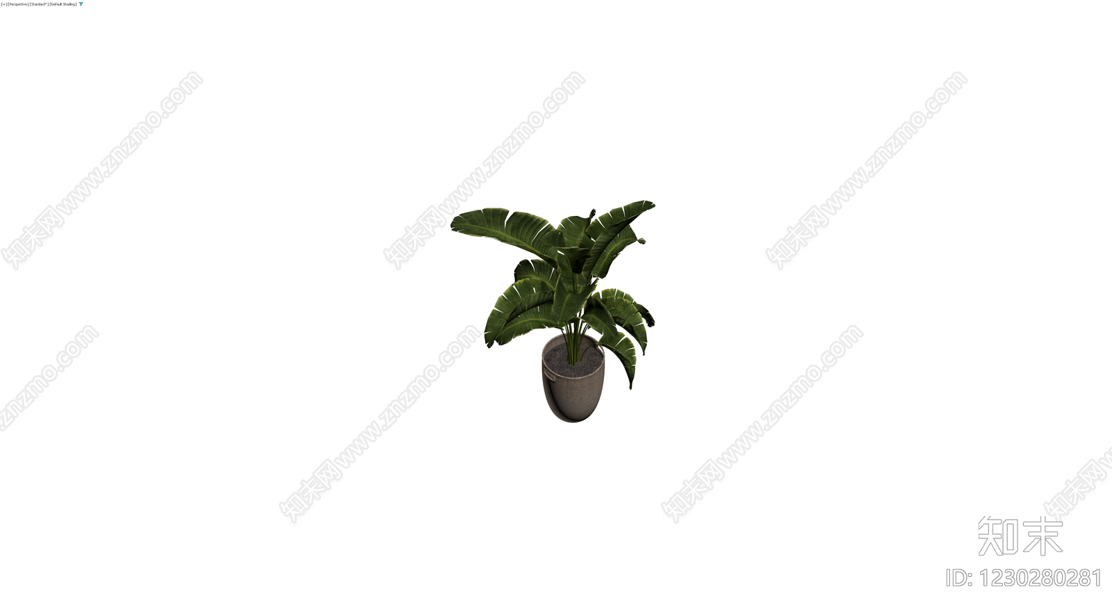 盆栽植物带编织花盆3D模型下载【ID:1230280281】