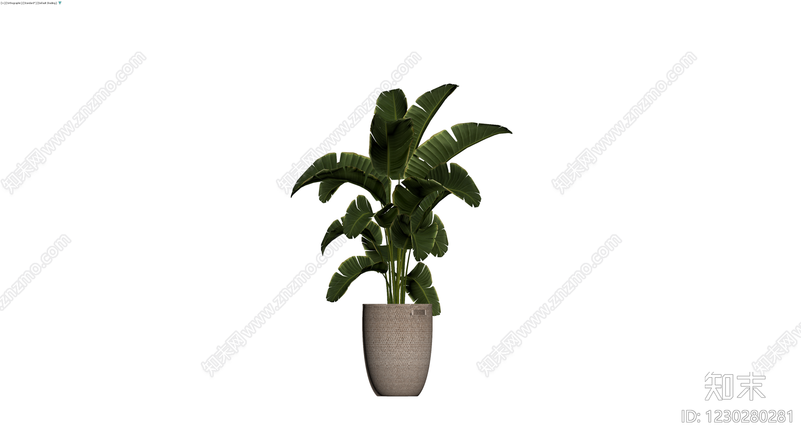 盆栽植物带编织花盆3D模型下载【ID:1230280281】