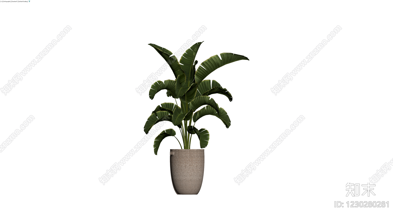 盆栽植物带编织花盆3D模型下载【ID:1230280281】