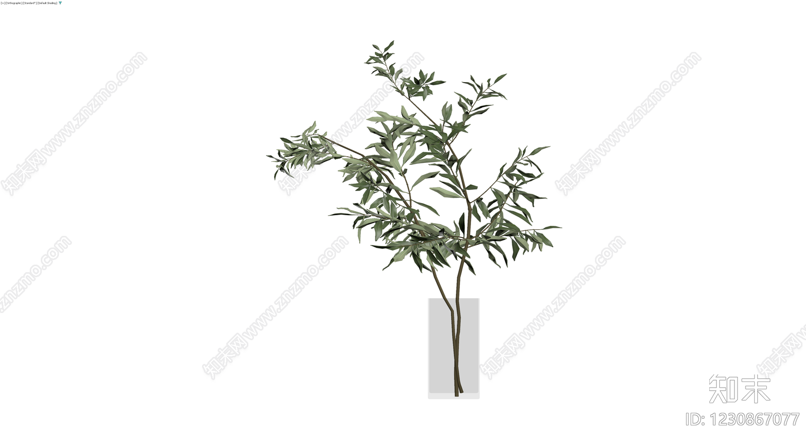 盆栽橄榄枝叶3D模型下载【ID:1230867077】