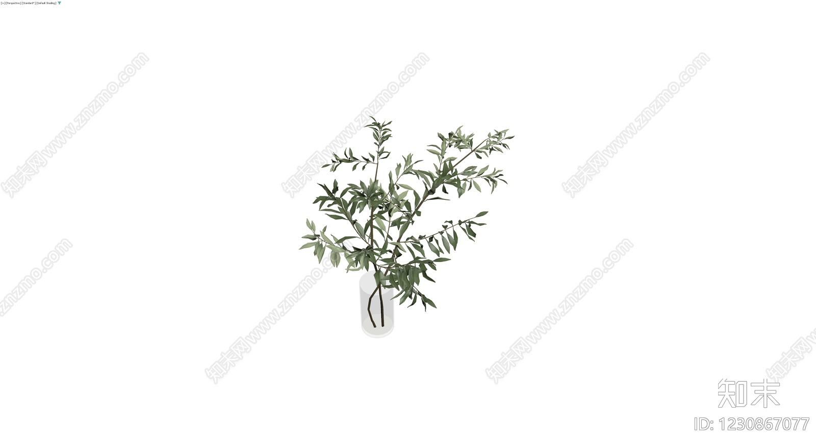 盆栽橄榄枝叶3D模型下载【ID:1230867077】
