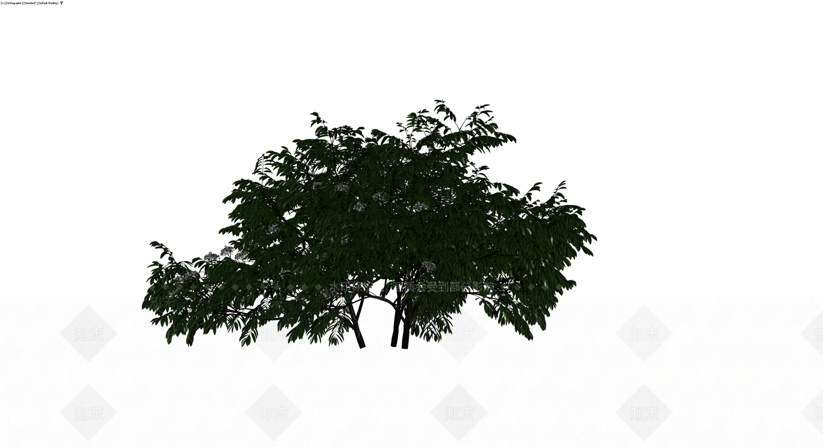 带花景观观乔木3D模型下载【ID:1230623439】