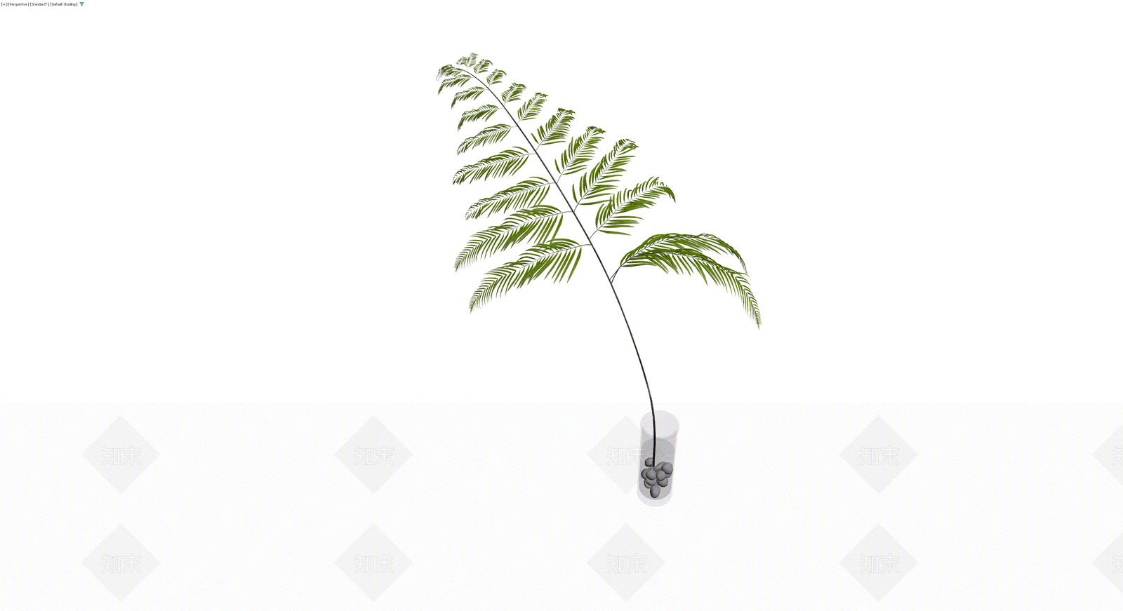 盆栽蕨类植物模型3D模型下载【ID:1230633352】