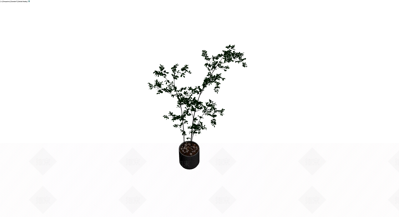 盆栽植物组合模型3D模型下载【ID:1230095143】