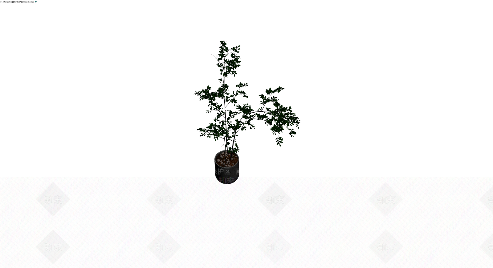 盆栽植物组合模型3D模型下载【ID:1230095143】