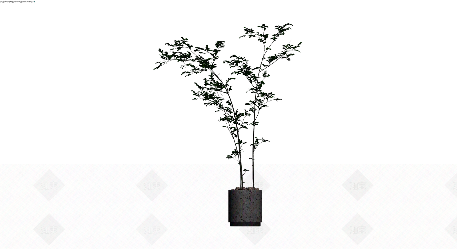 盆栽植物组合模型3D模型下载【ID:1230095143】