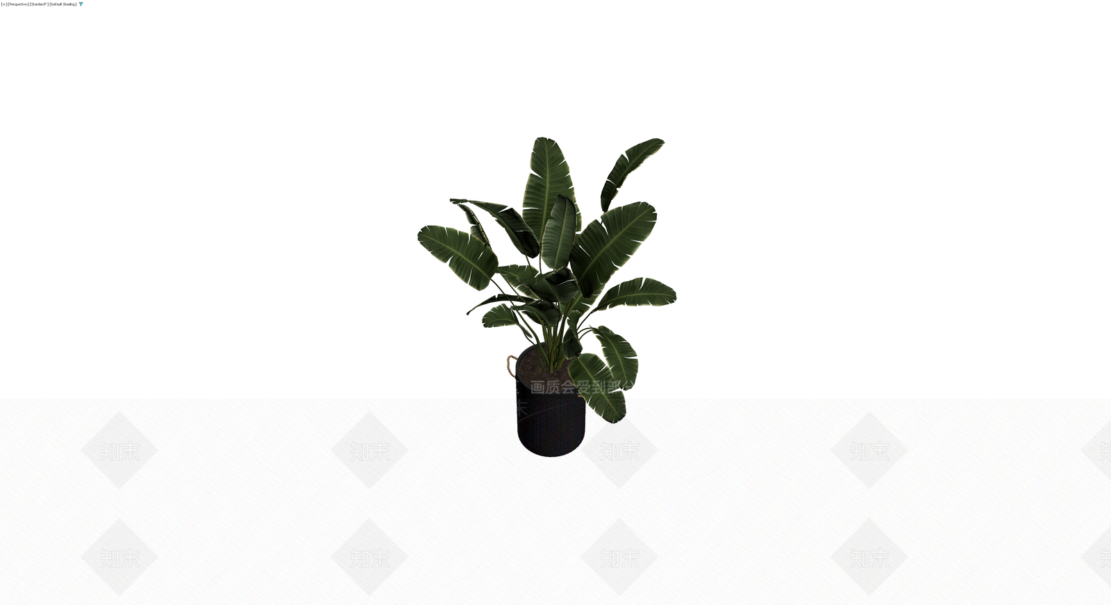 黑色花篮盆栽植物3D模型下载【ID:1230381121】