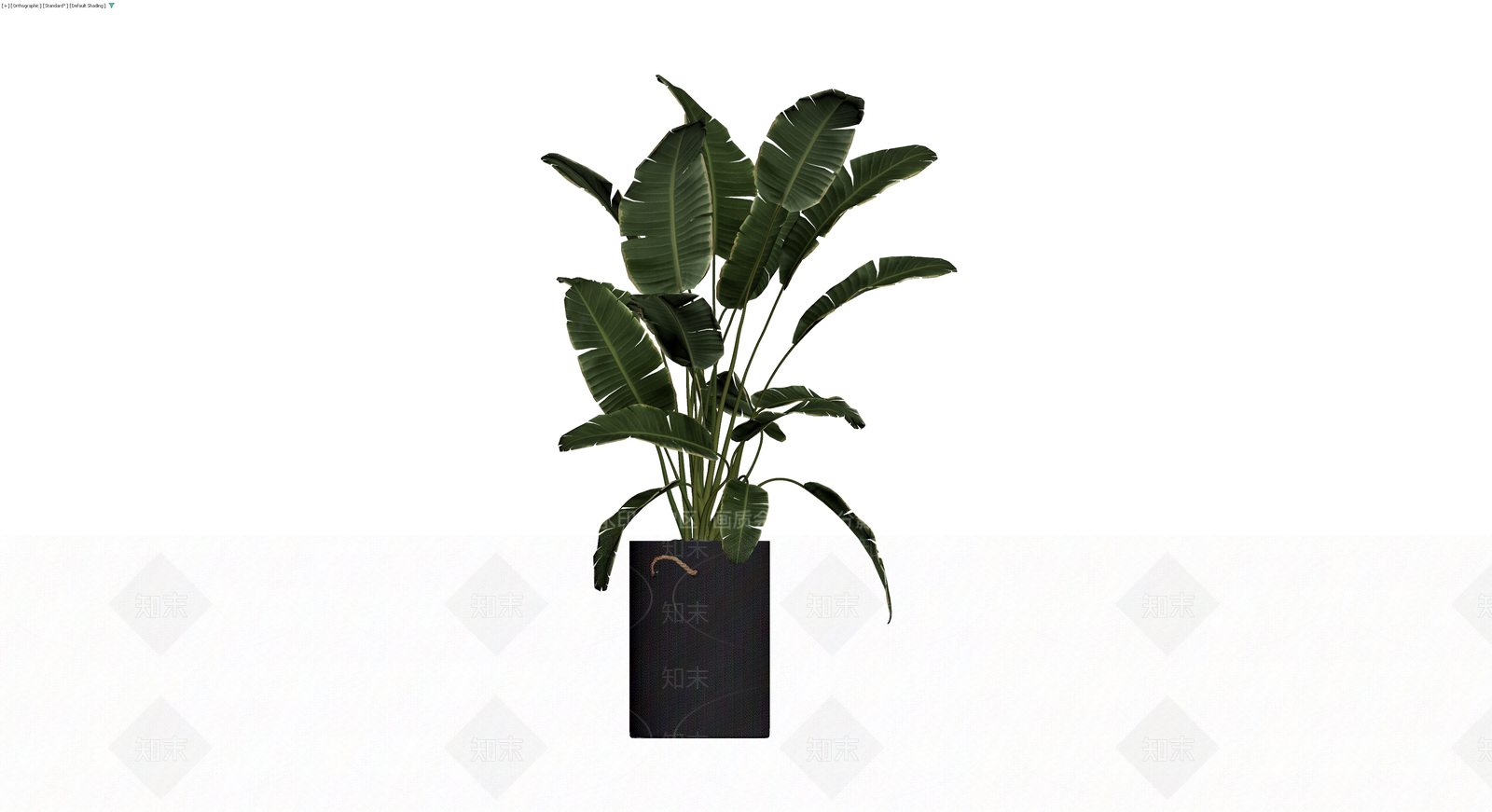 黑色花篮盆栽植物3D模型下载【ID:1230381121】