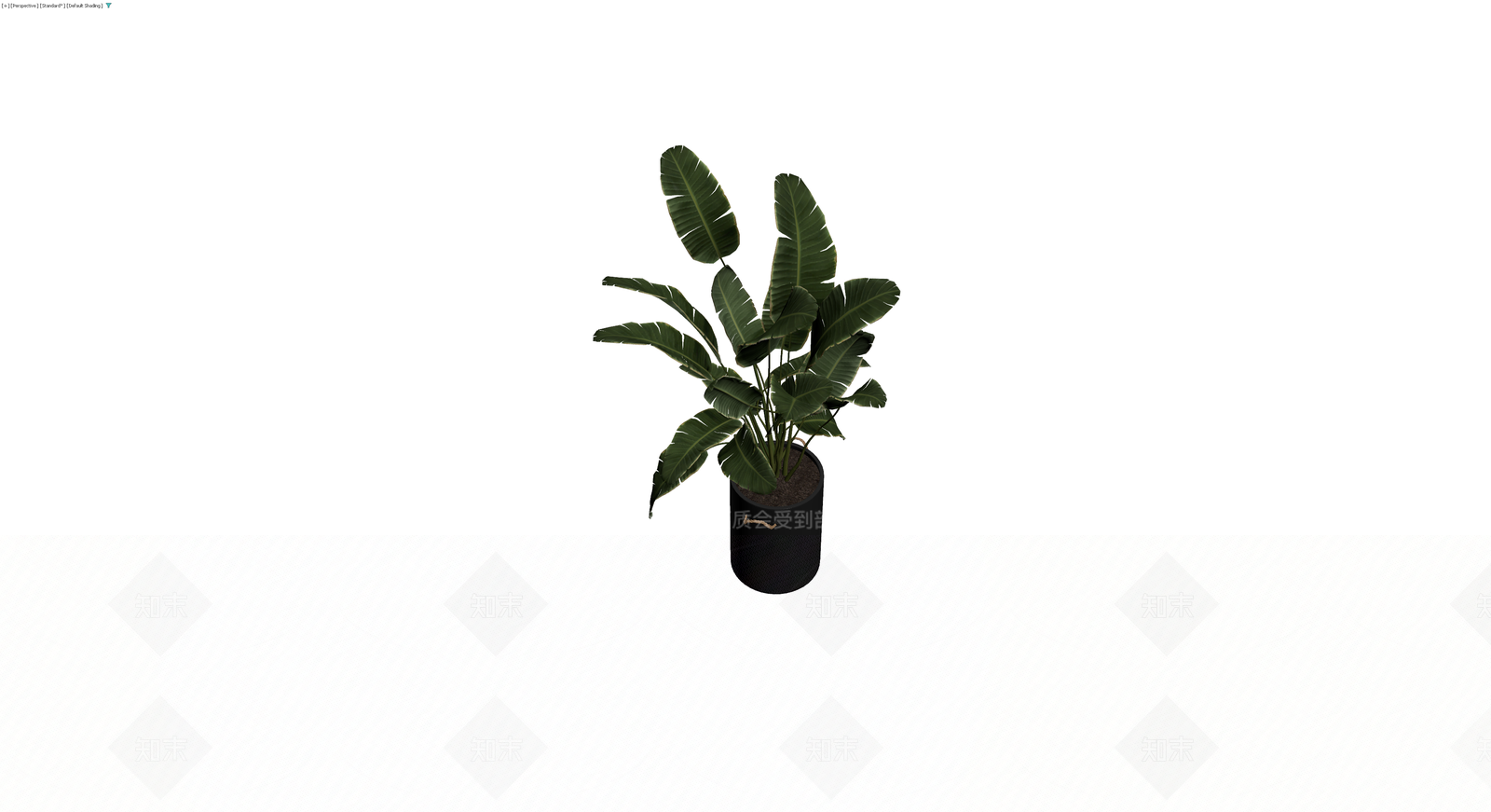 黑色花篮盆栽植物3D模型下载【ID:1230381121】