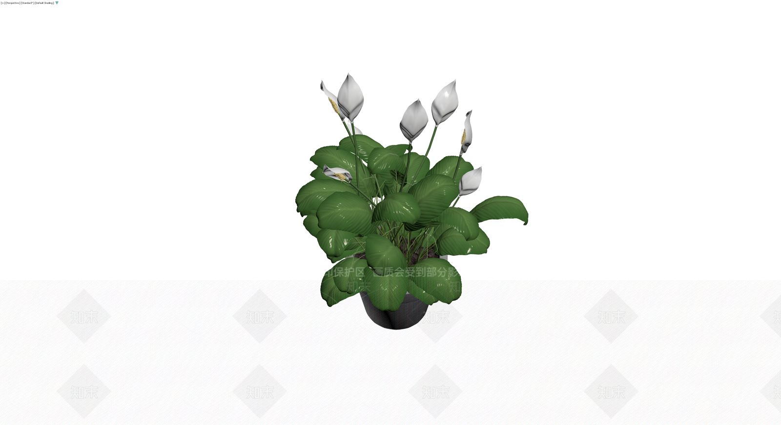 盆栽和平百合3D模型下载【ID:1230414950】