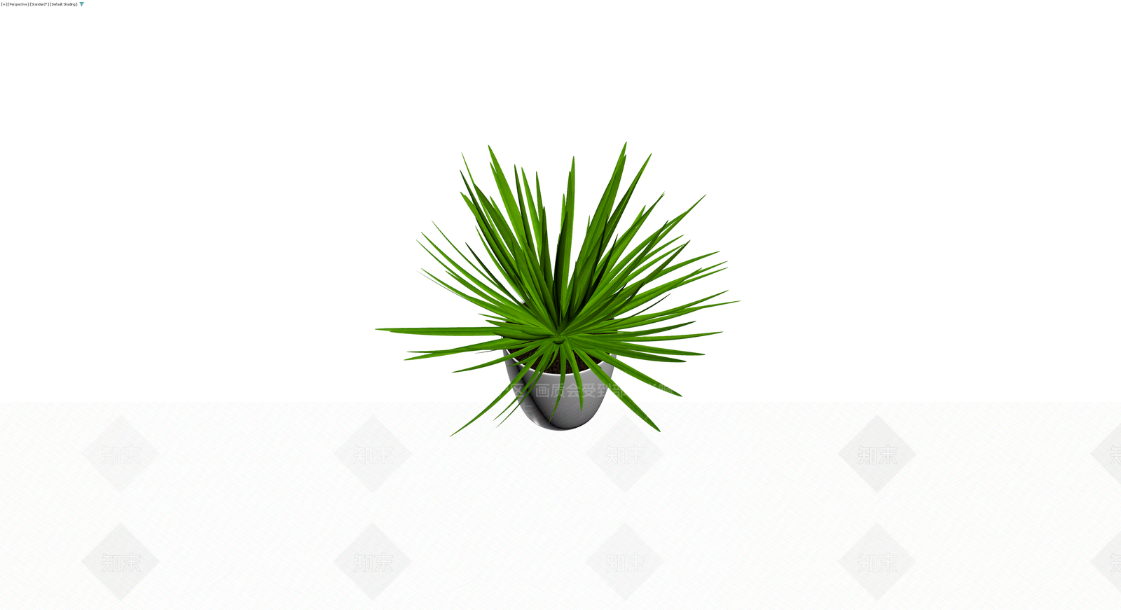 白盆绿植盆栽模型3D模型下载【ID:1230618270】