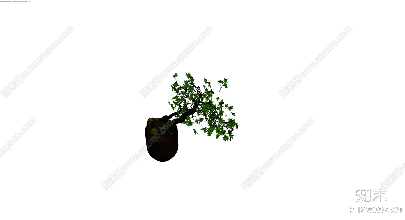 盆栽枫树盆景3D模型下载【ID:1229697509】