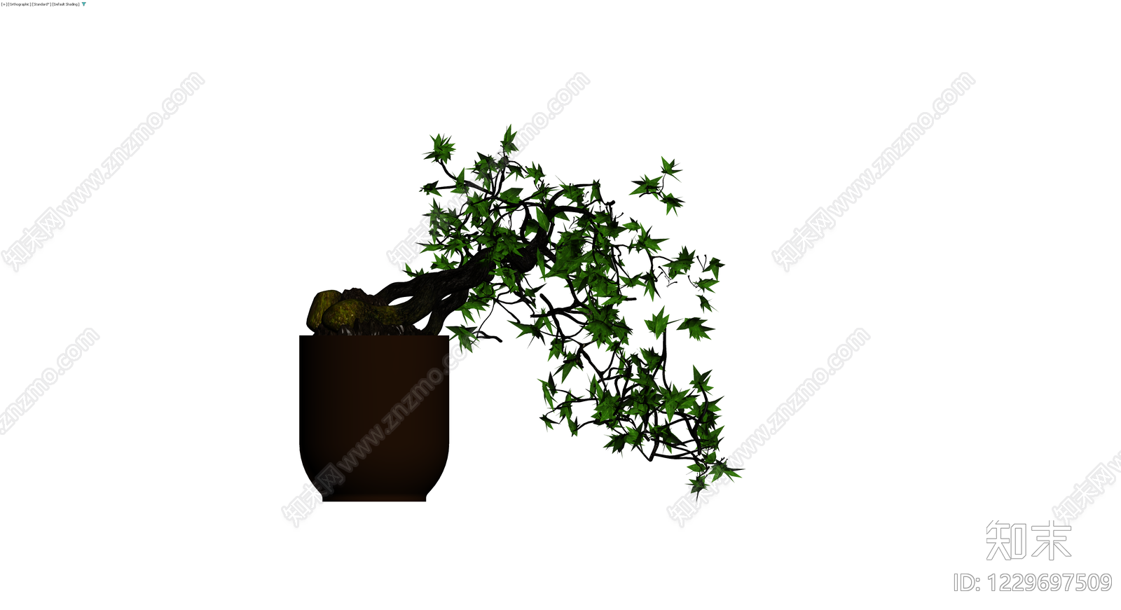 盆栽枫树盆景3D模型下载【ID:1229697509】