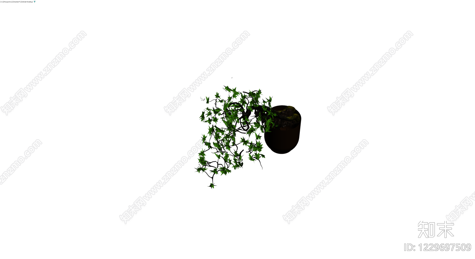 盆栽枫树盆景3D模型下载【ID:1229697509】
