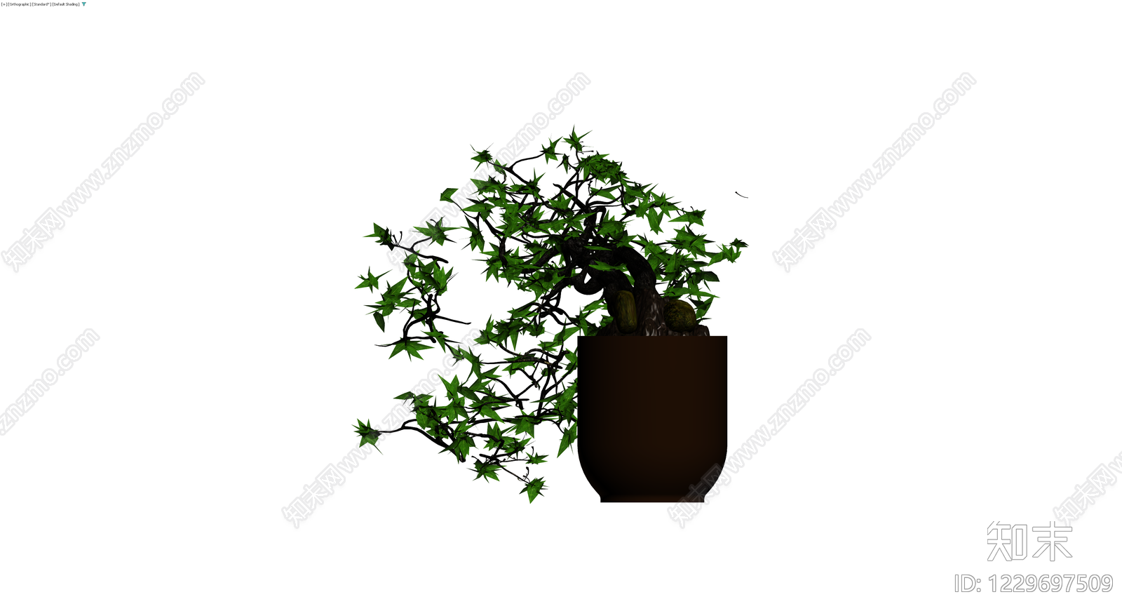 盆栽枫树盆景3D模型下载【ID:1229697509】