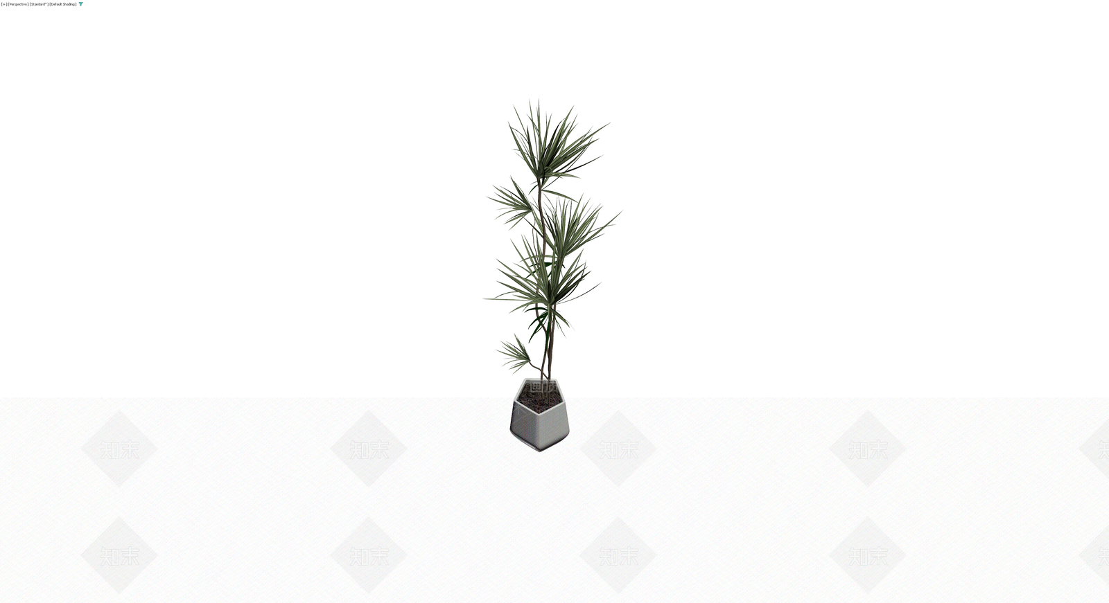 盆栽植物模型3D模型下载【ID:1229907565】