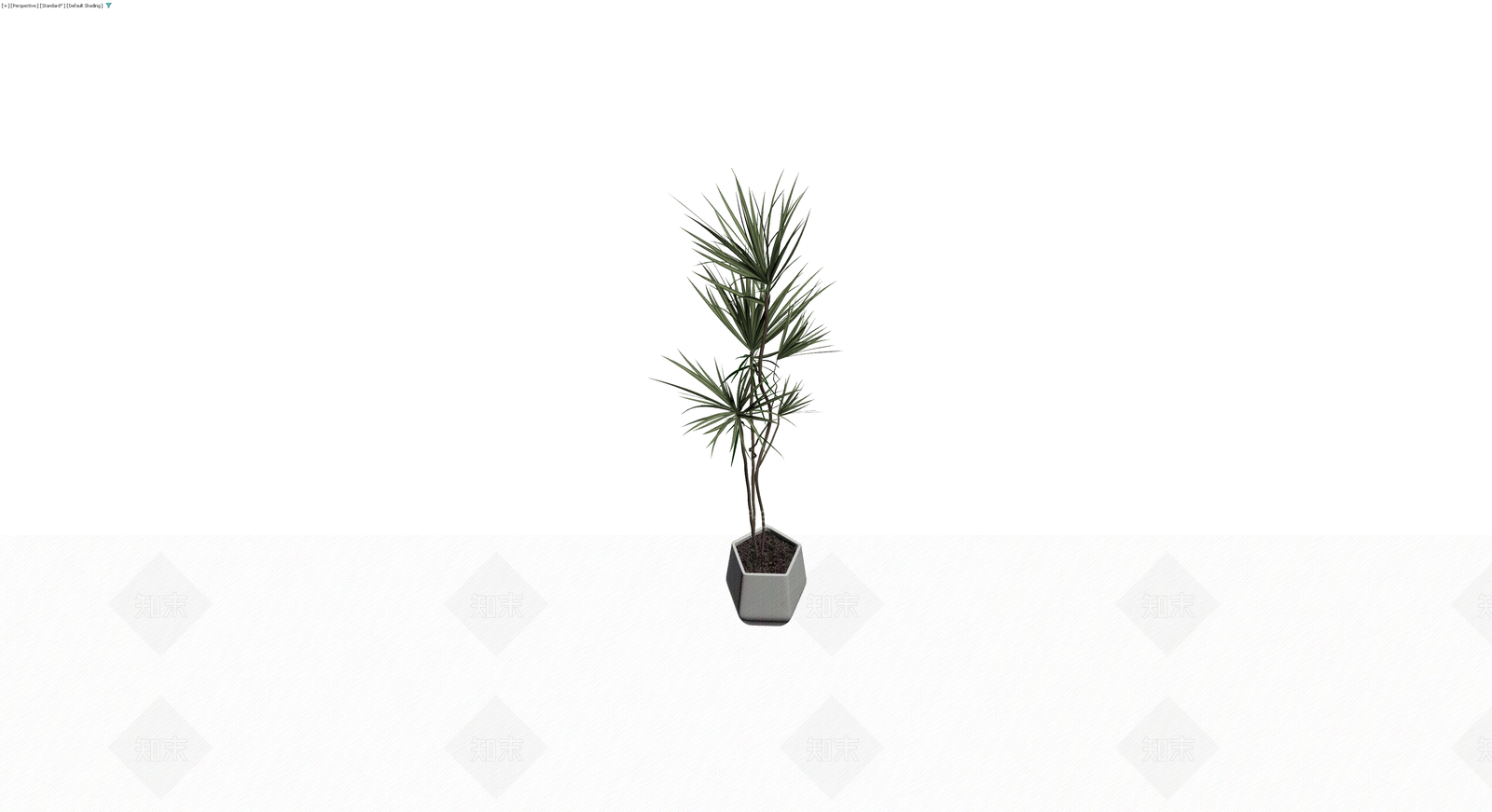盆栽植物模型3D模型下载【ID:1229907565】