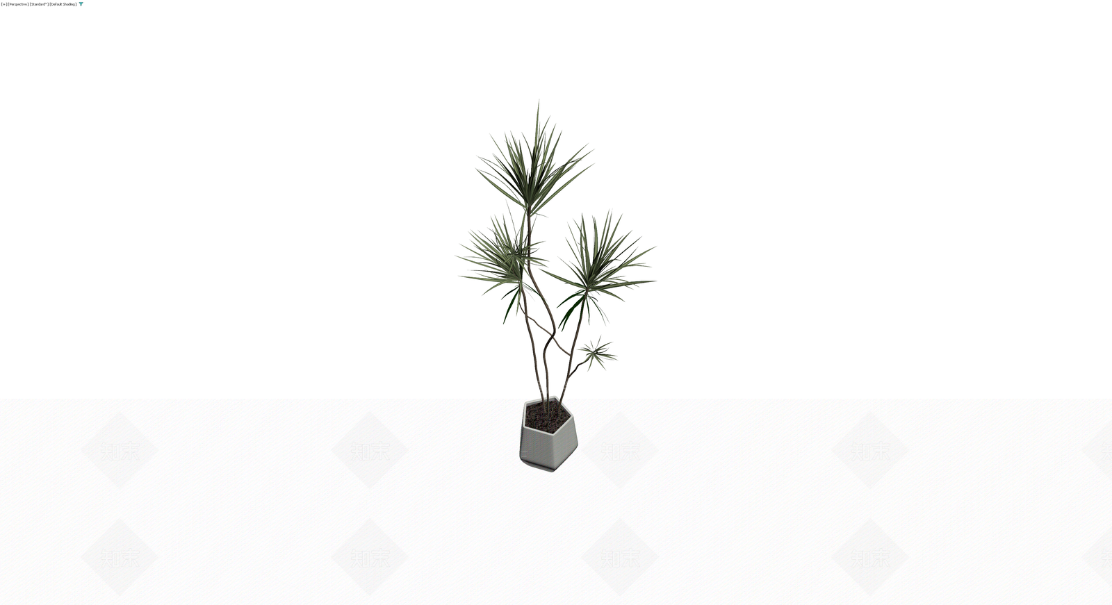 盆栽植物模型3D模型下载【ID:1229907565】