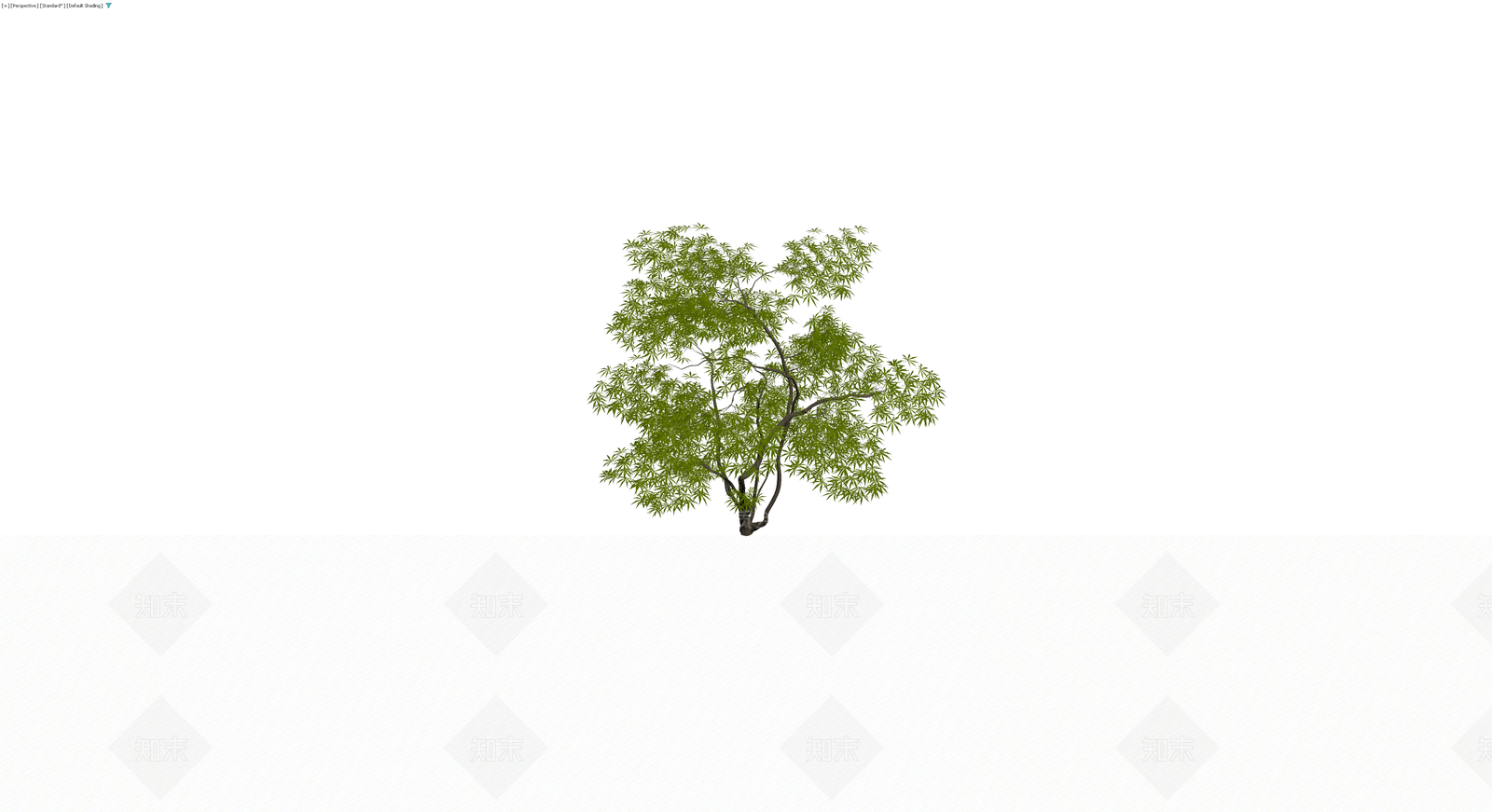 完整景观乔木模型3D模型下载【ID:1230785974】