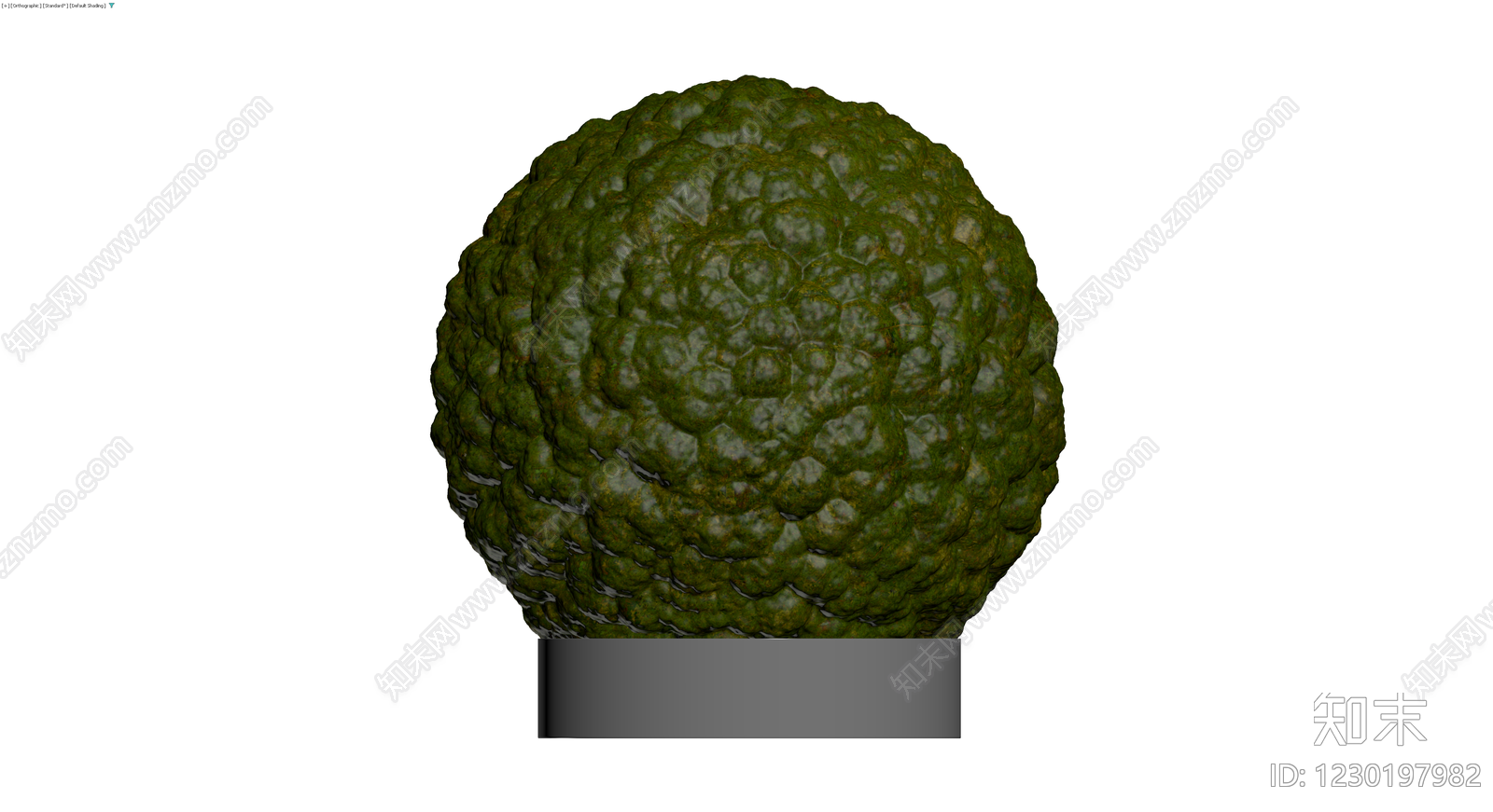 绿色纹理圆球盆栽3D模型下载【ID:1230197982】
