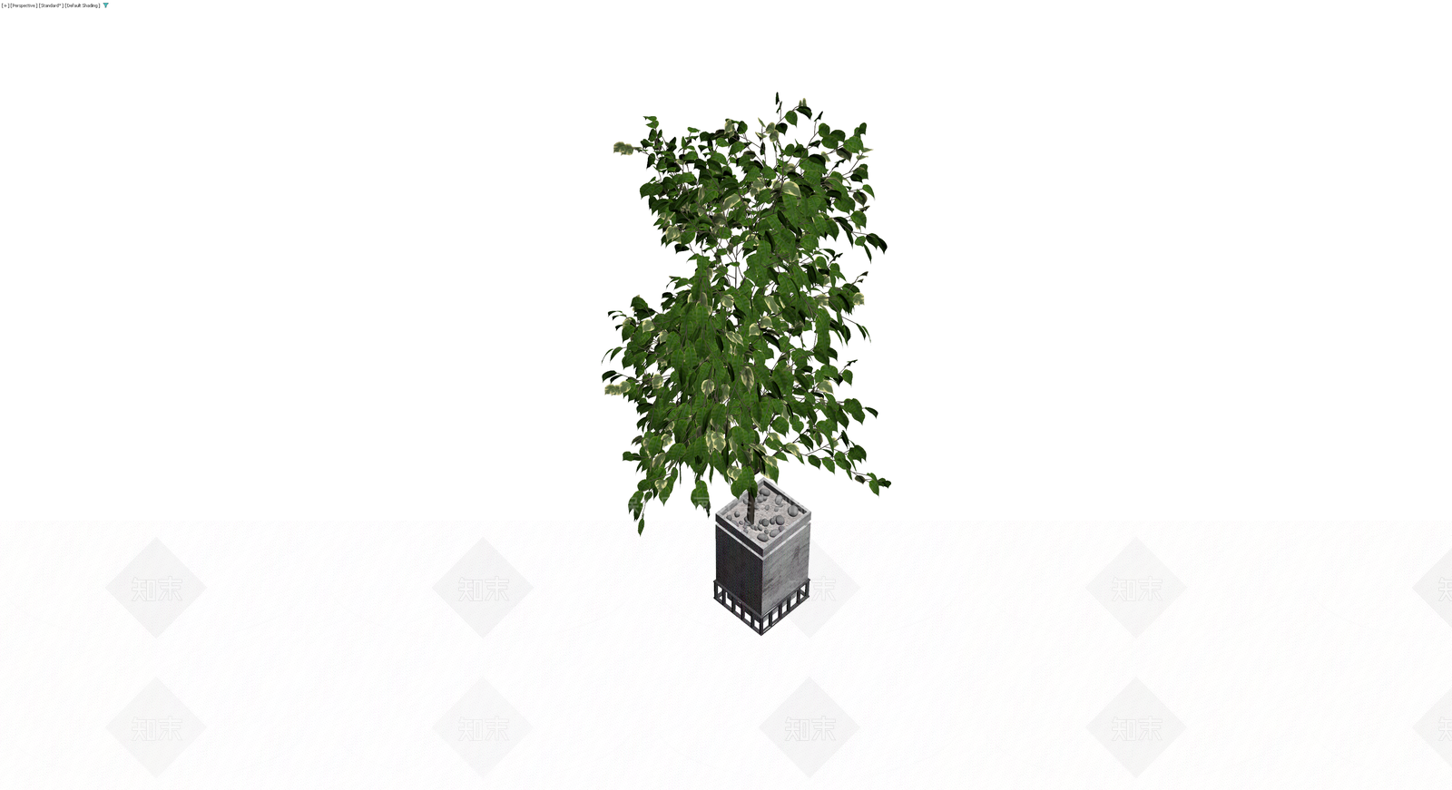 带盆绿植盆栽3D模型下载【ID:1230742800】
