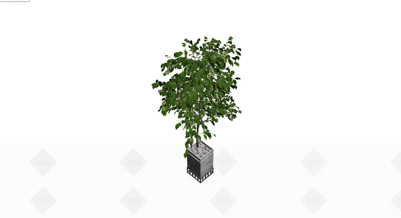带盆绿植盆栽3D模型下载【ID:1230742800】
