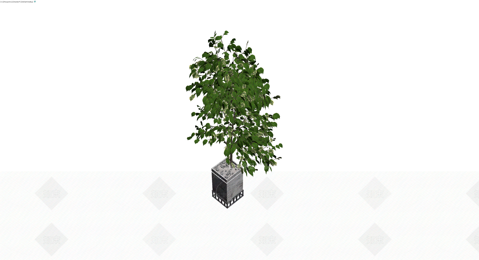 带盆绿植盆栽3D模型下载【ID:1230742800】
