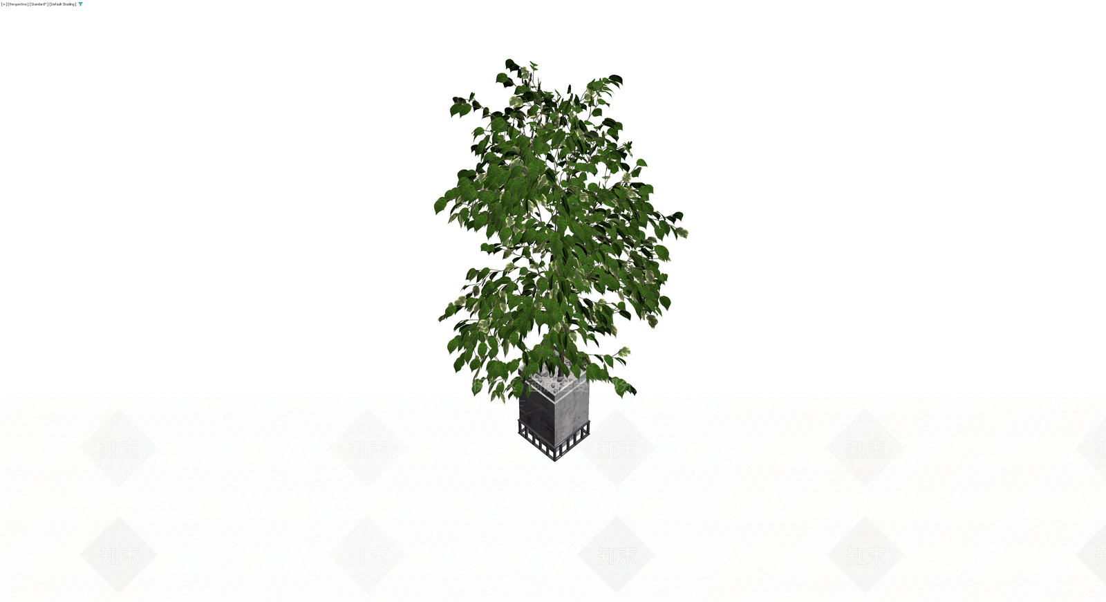 带盆绿植盆栽3D模型下载【ID:1230742800】