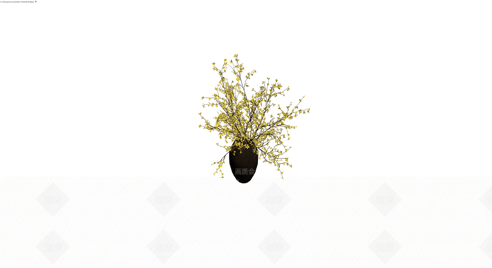 黄色盆栽植物3D模型下载【ID:1229943901】