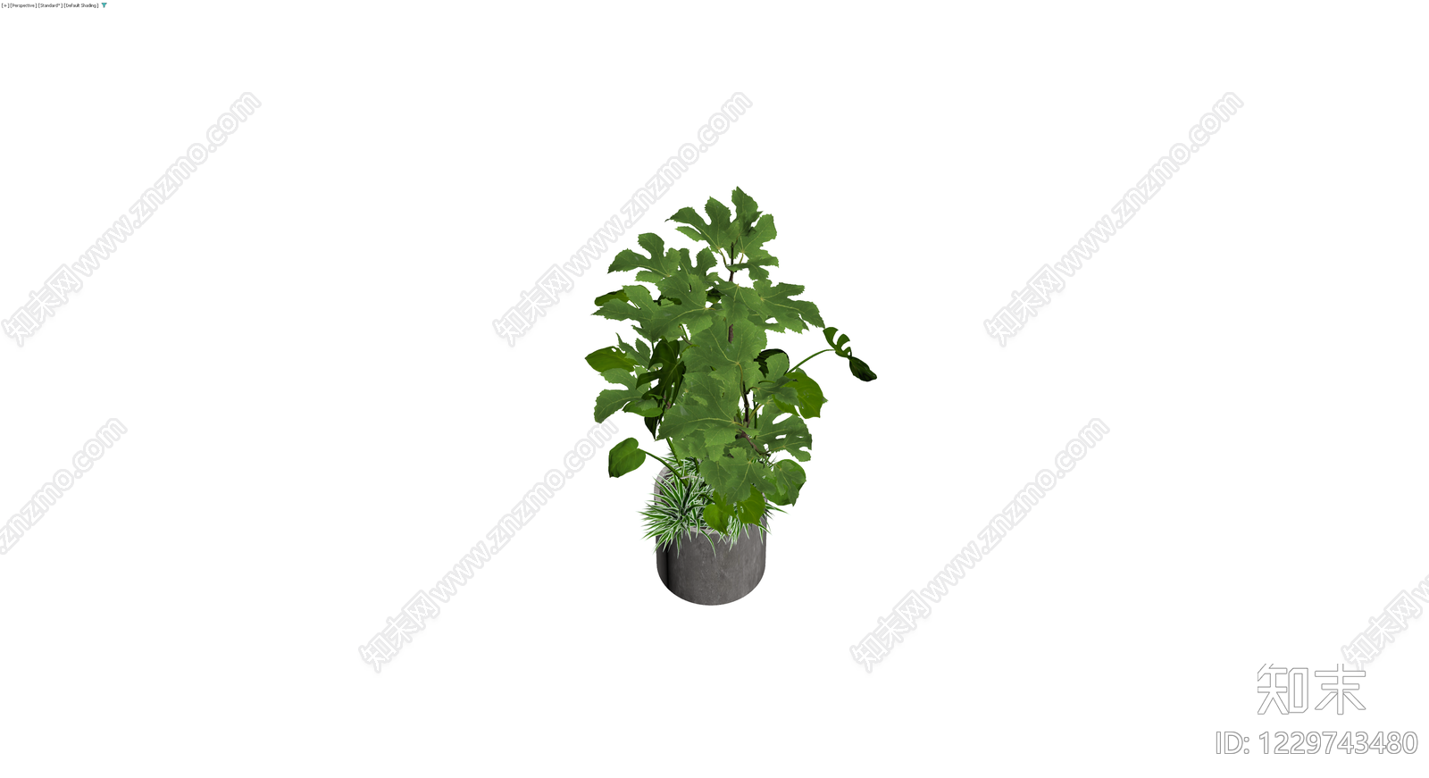 多品种组合盆栽3D模型下载【ID:1229743480】