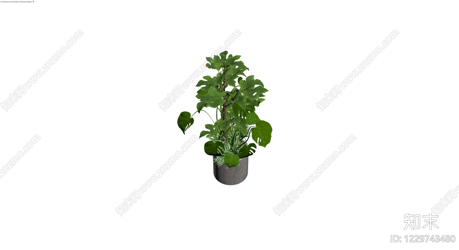多品种组合盆栽3D模型下载【ID:1229743480】