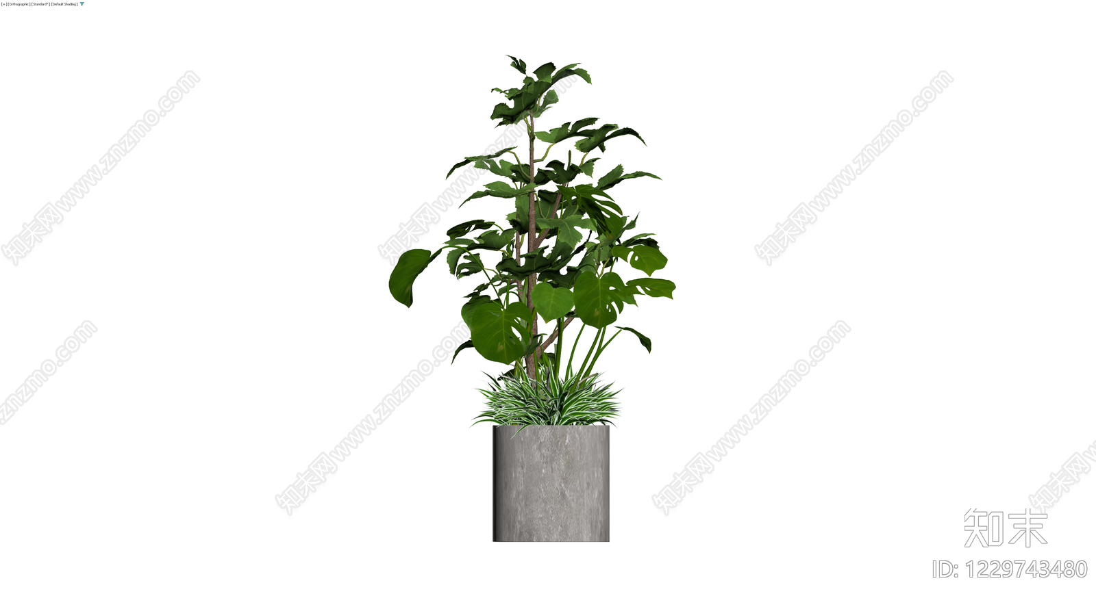 多品种组合盆栽3D模型下载【ID:1229743480】