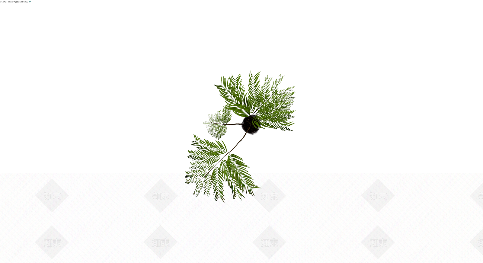 盆栽蕨类植物模型3D模型下载【ID:1230701155】