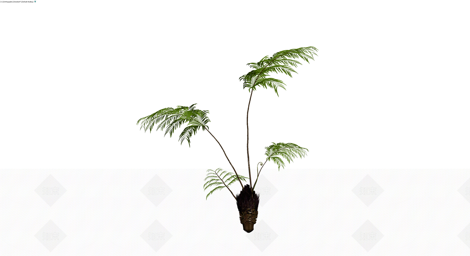 盆栽蕨类植物模型3D模型下载【ID:1230701155】