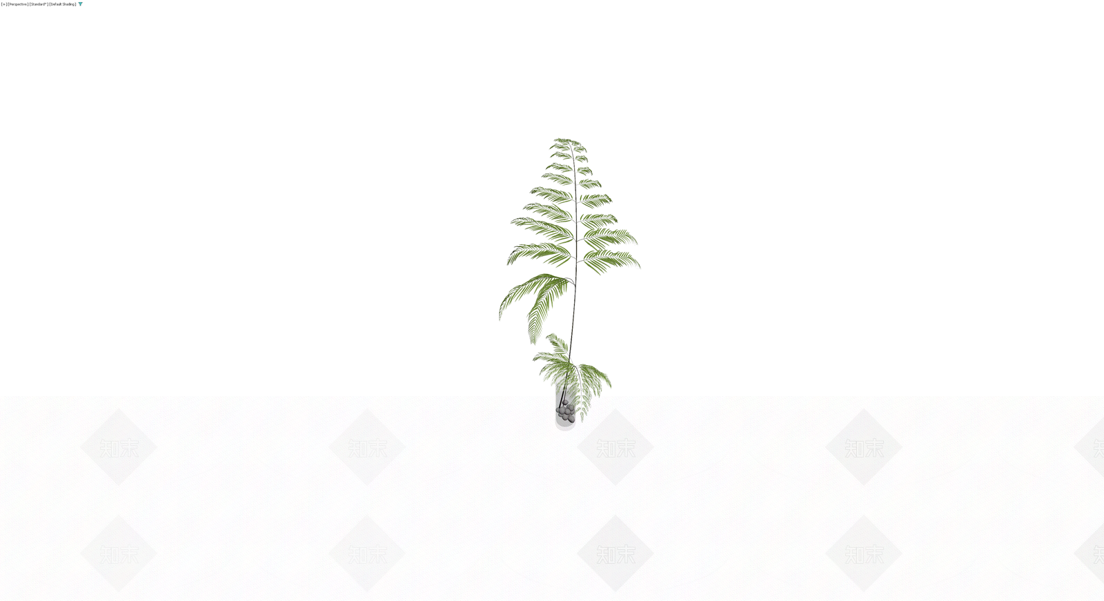 盆栽蕨类植物3D模型下载【ID:1230386463】