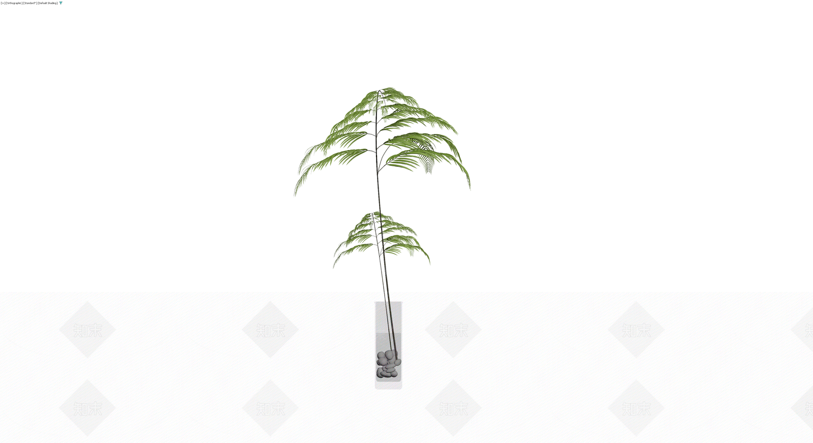 盆栽蕨类植物3D模型下载【ID:1230386463】