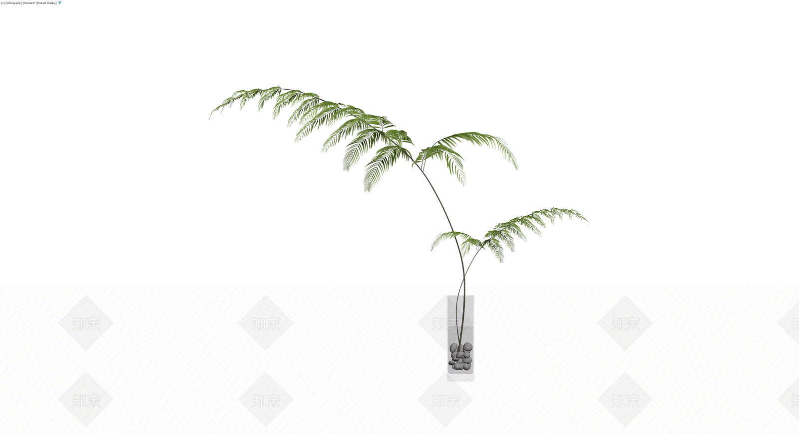 盆栽蕨类植物3D模型下载【ID:1230386463】