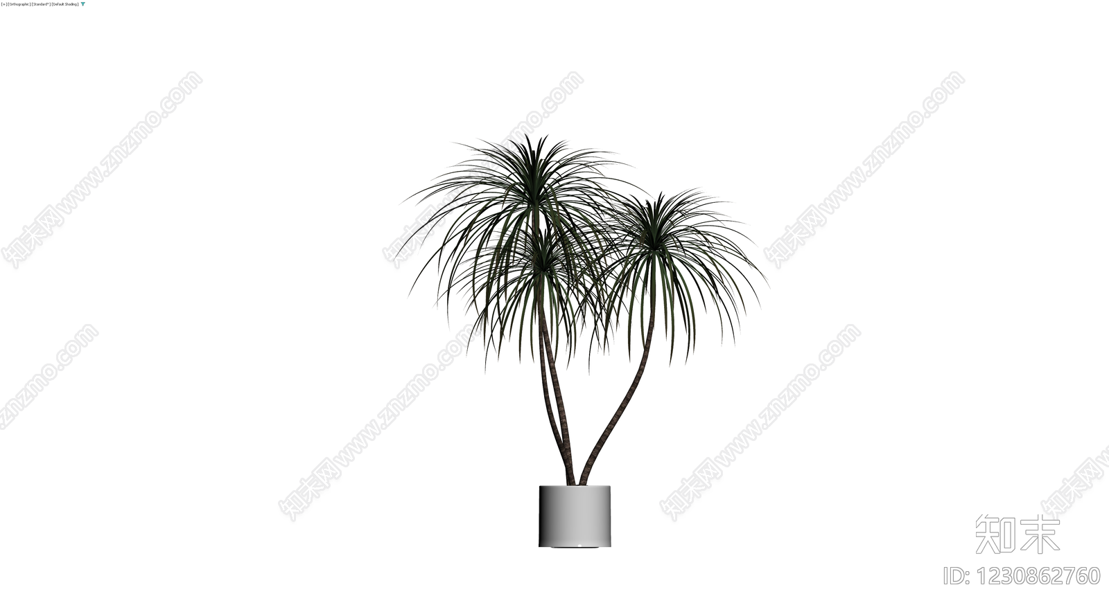 盆栽植物组合3D模型下载【ID:1230862760】