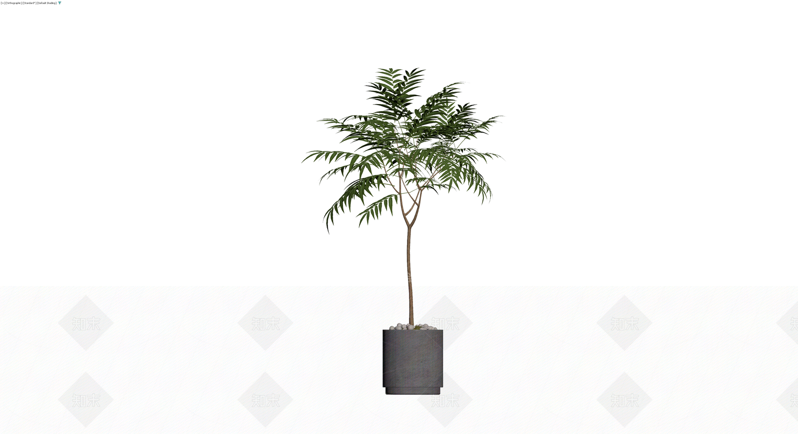 盆栽绿植带盆3D模型下载【ID:1230586340】