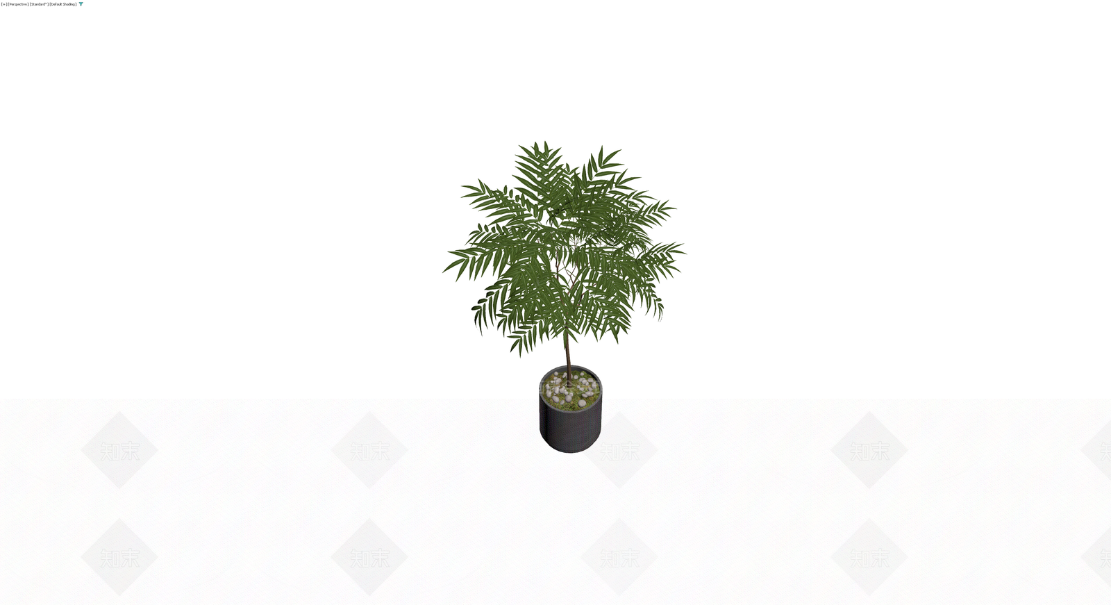 盆栽绿植带盆3D模型下载【ID:1230586340】