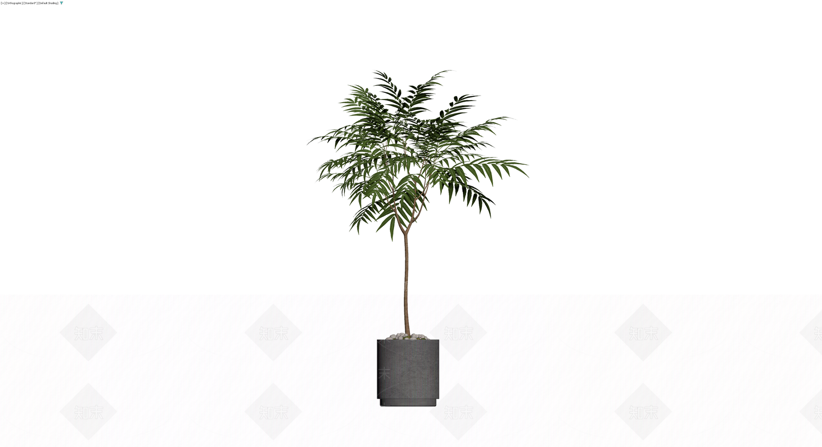 盆栽绿植带盆3D模型下载【ID:1230586340】