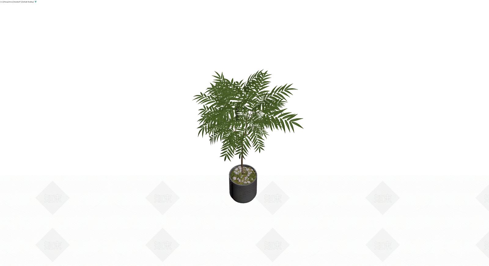 盆栽绿植带盆3D模型下载【ID:1230586340】
