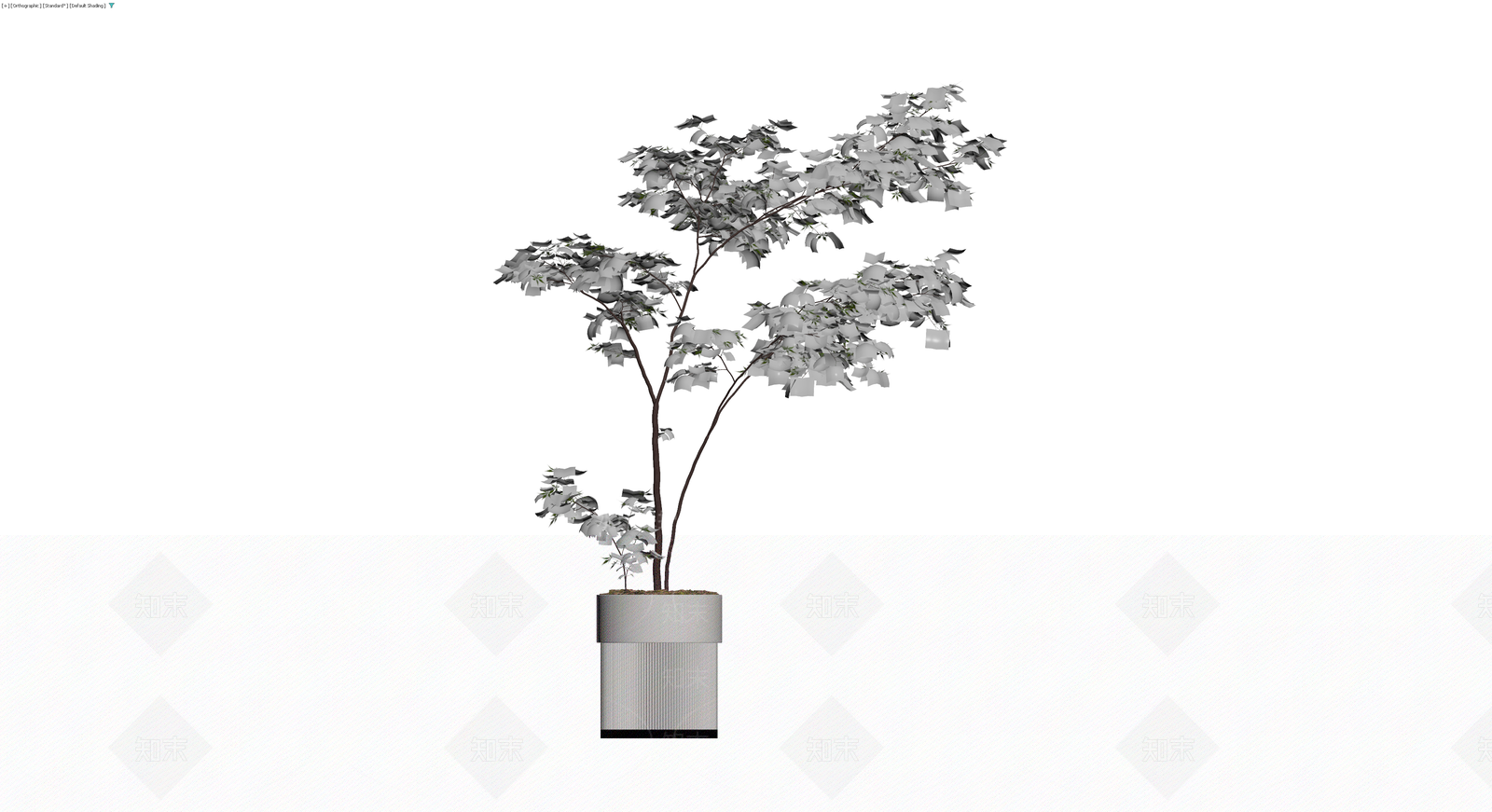 盆栽植物模型3D模型下载【ID:1230791229】