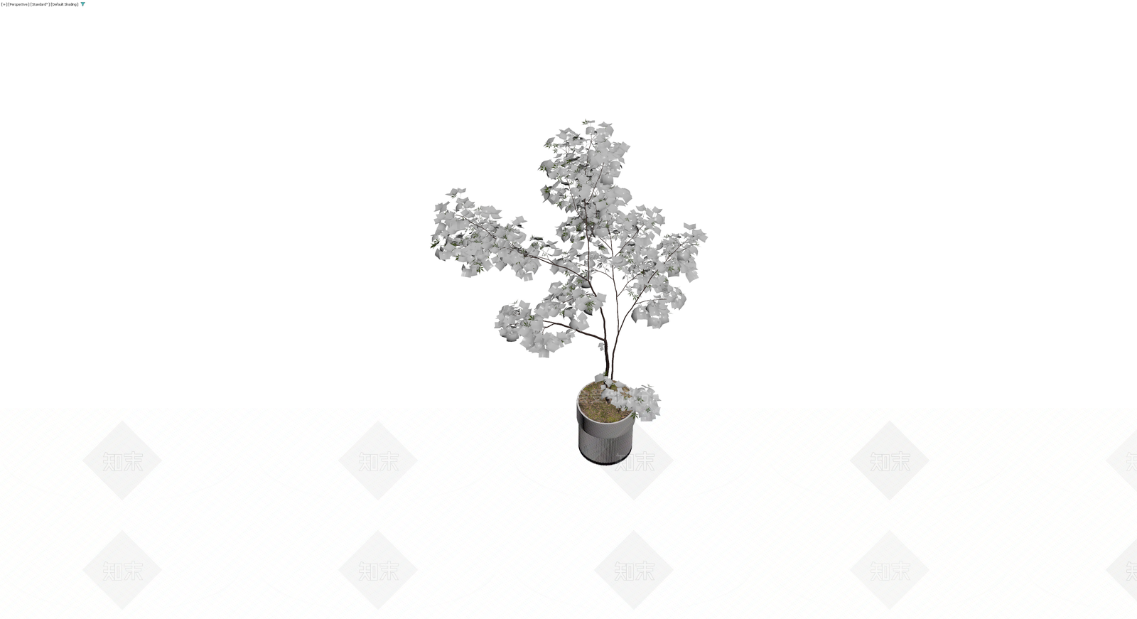 盆栽植物模型3D模型下载【ID:1230791229】