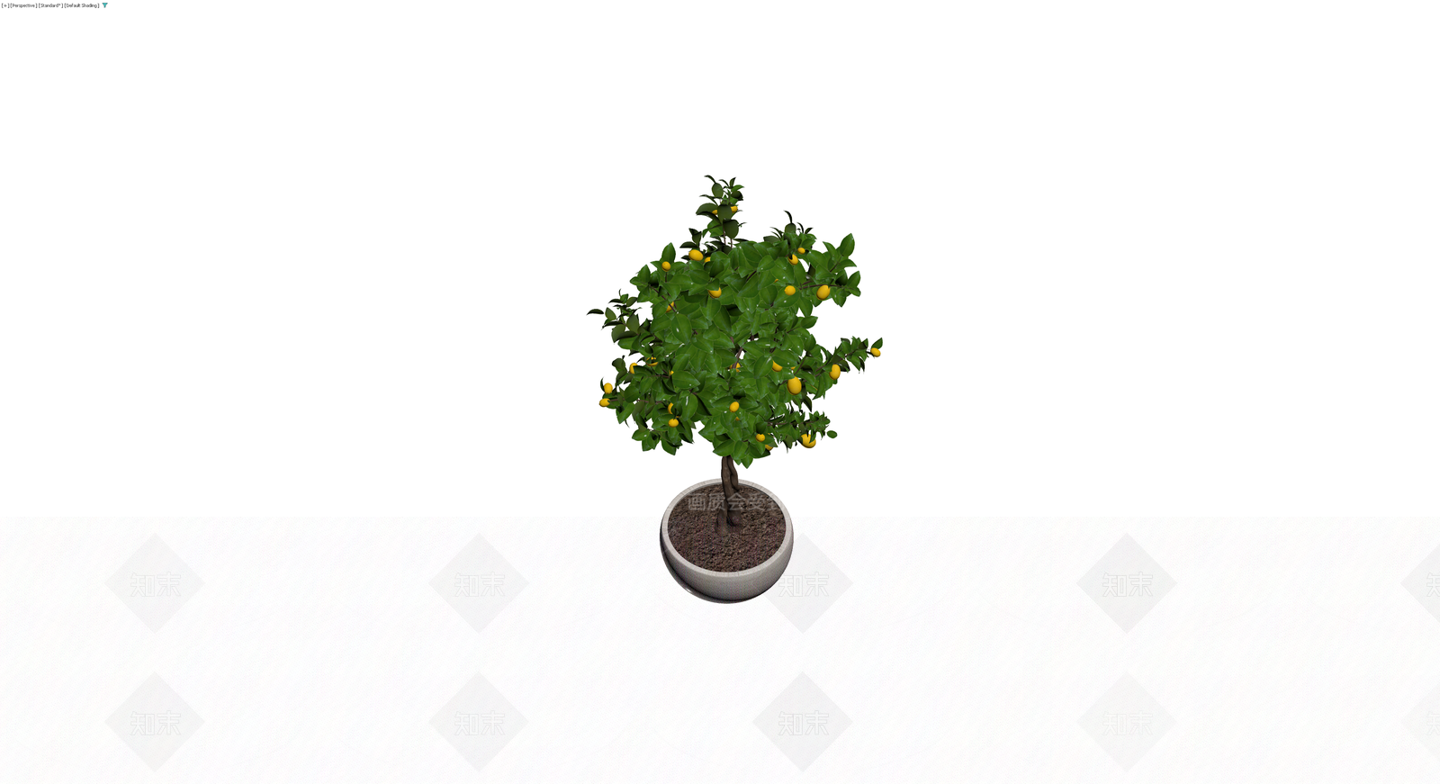 盆栽柠檬树3D模型下载【ID:1230425891】