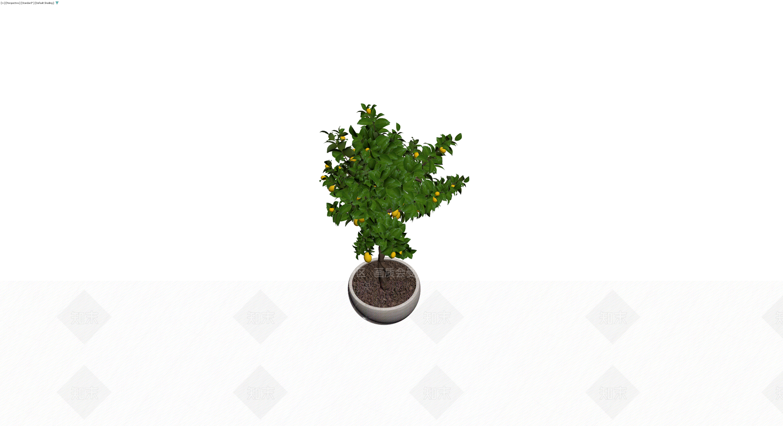 盆栽柠檬树3D模型下载【ID:1230425891】
